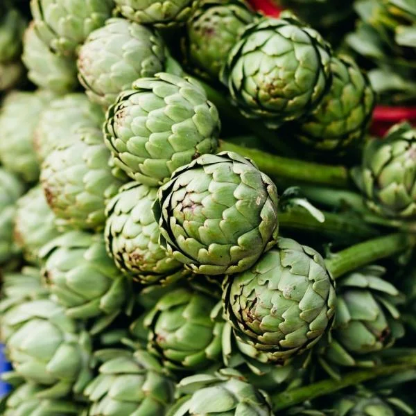 Scalabrinians Special Event